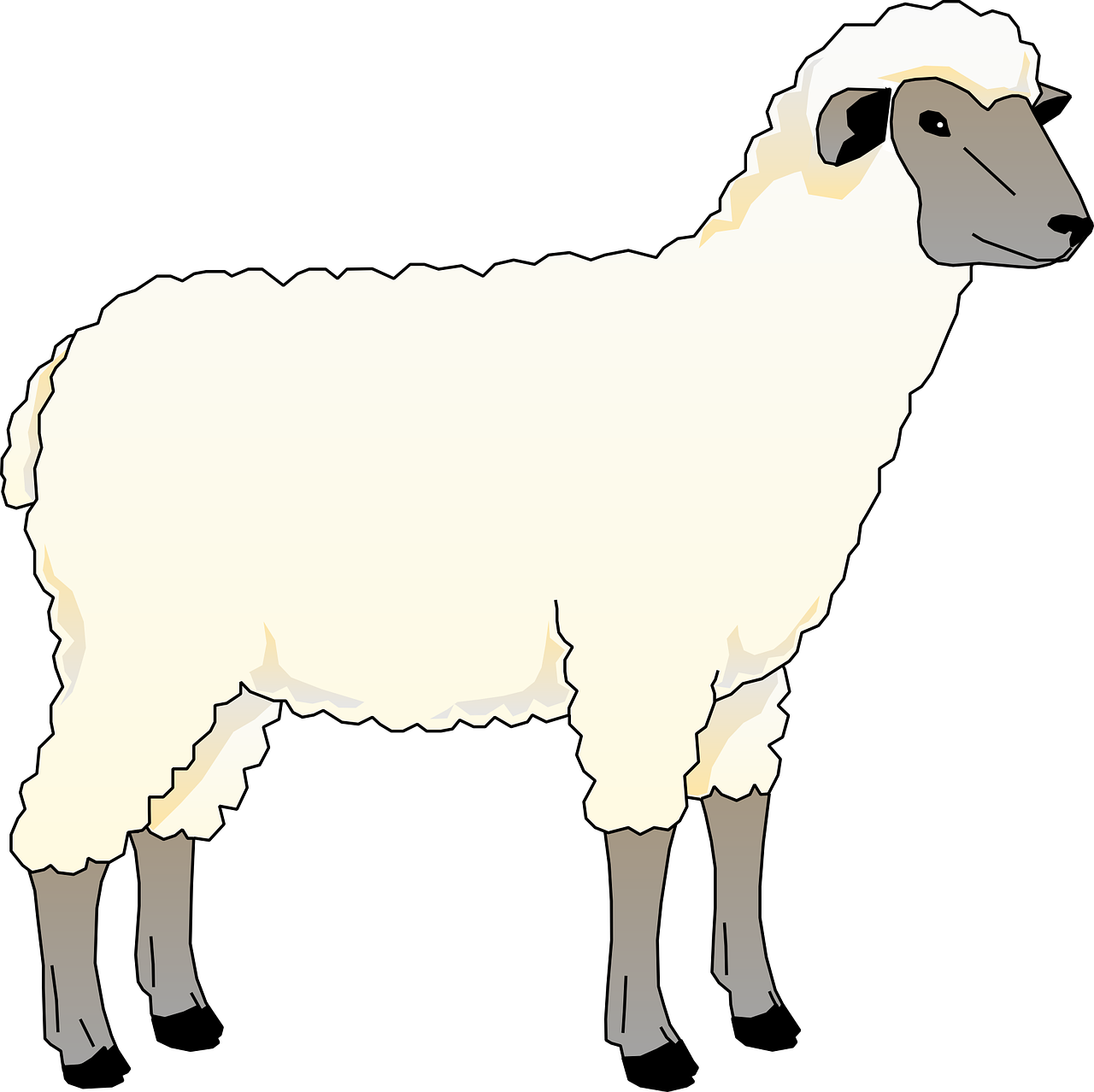sheep, animal, barn-48357.jpg